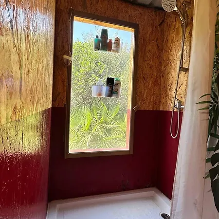 Michas Caravan For 2 The Herd Of Horses From Your Bed Holiday home Barao de Sao Joao