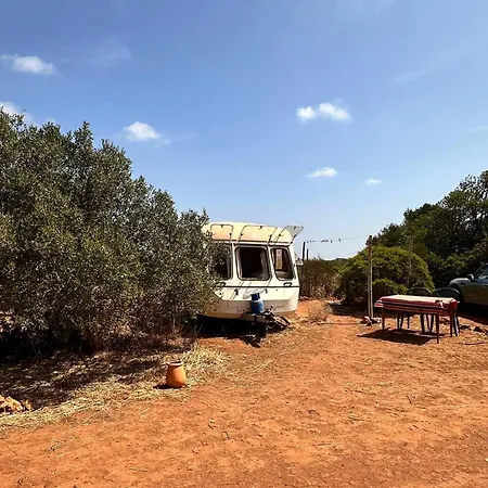 Michas Caravan For 2 The Herd Of Horses From Your Bed * Barao de Sao Joao