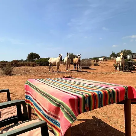 Holiday home Michas Caravan For 2 The Herd Of Horses From Your Bed Barao de Sao Joao