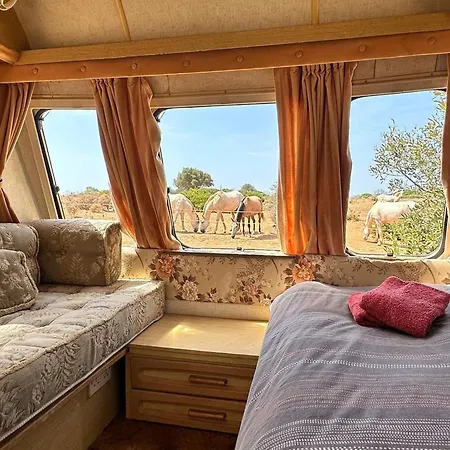 Michas Caravan For 2 The Herd Of Horses From Your Bed *
