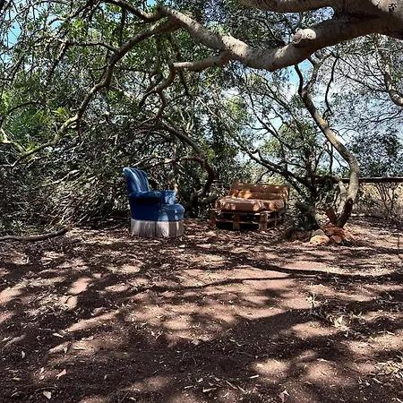 Casa vacanze Michas Caravan For 2 The Herd Of Horses From Your Bed