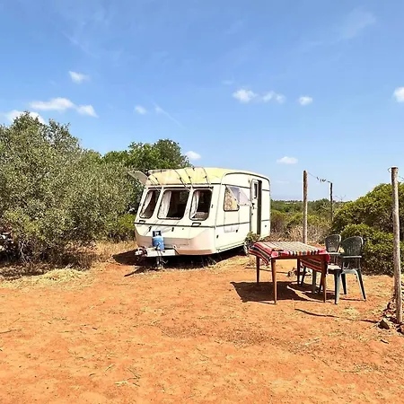 Michas Caravan For 2 The Herd Of Horses From Your Bed * Barao de Sao Joao
