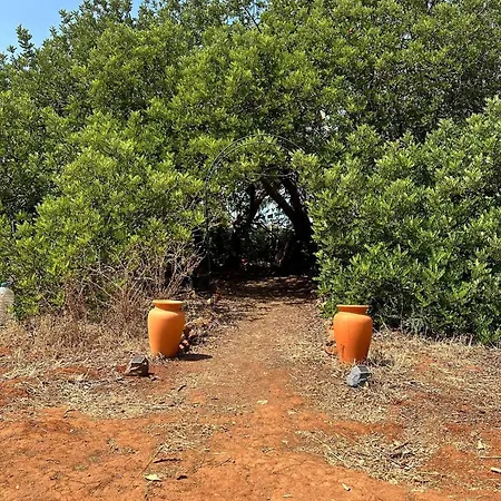 Michas Caravan For 2 The Herd Of Horses From Your Bed