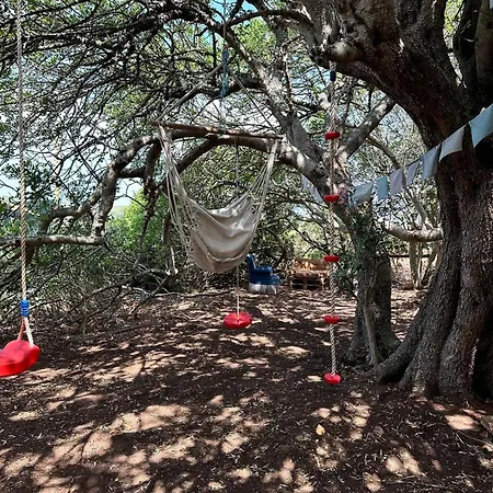 Michas Caravan For 2 The Herd Of Horses From Your Bed Ferienhaus *