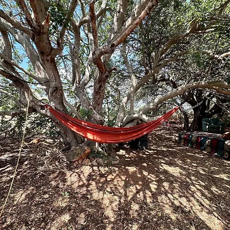 Ferienhaus Michas Caravan For 2 The Herd Of Horses From Your Bed