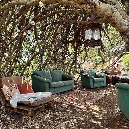 Michas Caravan For 2 The Herd Of Horses From Your Bed * Barao de Sao Joao