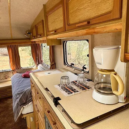 Holiday home Michas Caravan For 2 The Herd Of Horses From Your Bed Barao de Sao Joao
